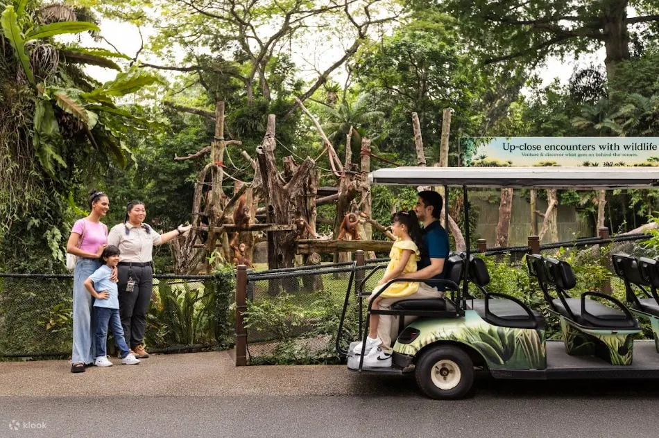 Zoo Adventure Tour by STB India